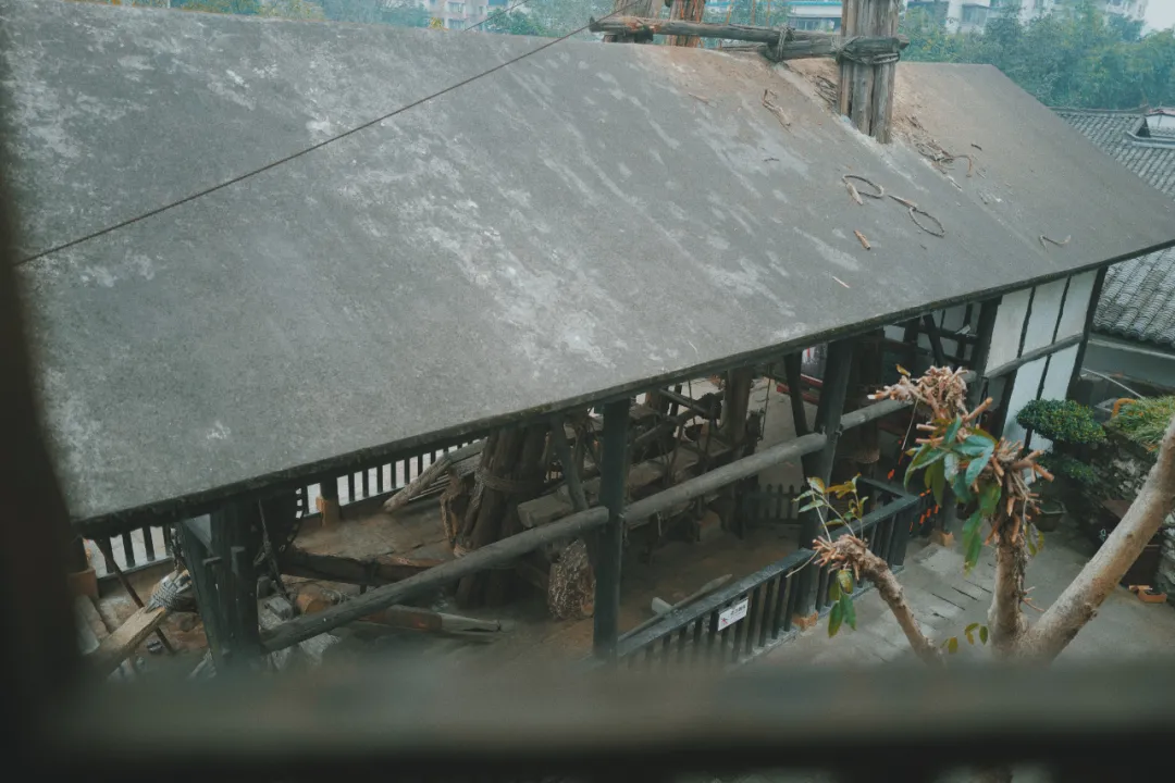 最近超火的盐帮菜之乡让我大开眼界，奇怪的知识又增加了