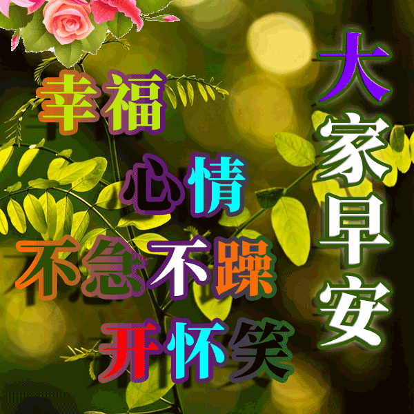 2022朋友圈温馨早上好问候暖心语录 最新版漂亮鲜花早上好动态美图图片