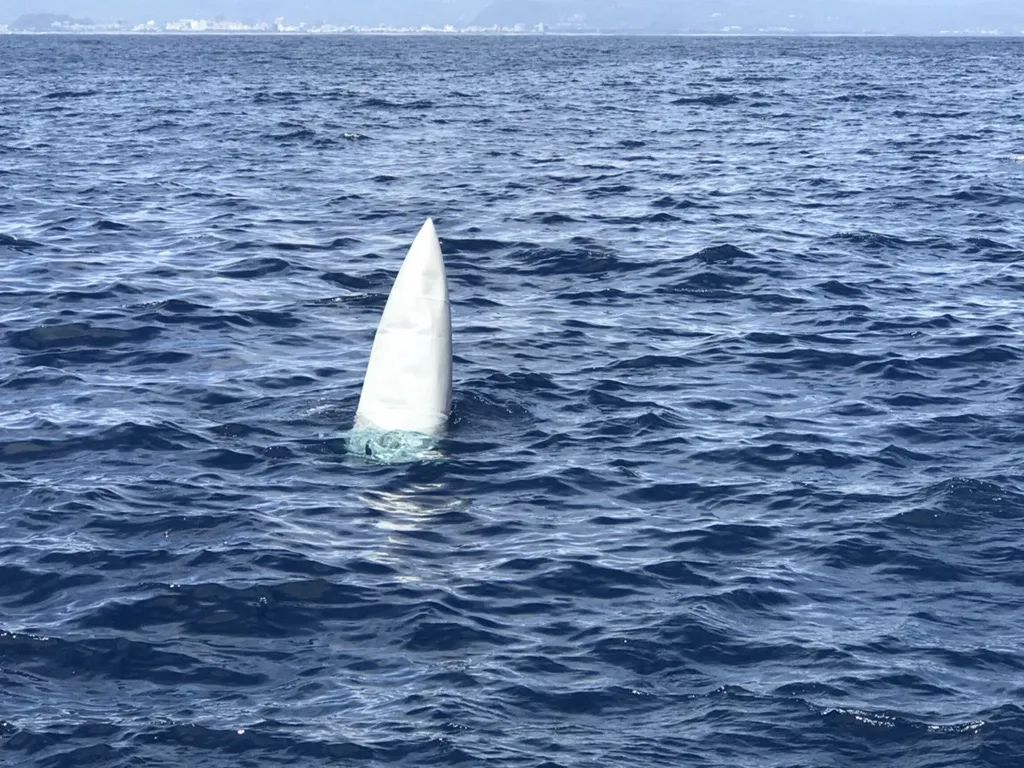 女子夜跑遇害，罪犯被执行死刑【三分钟法治新闻全知道】