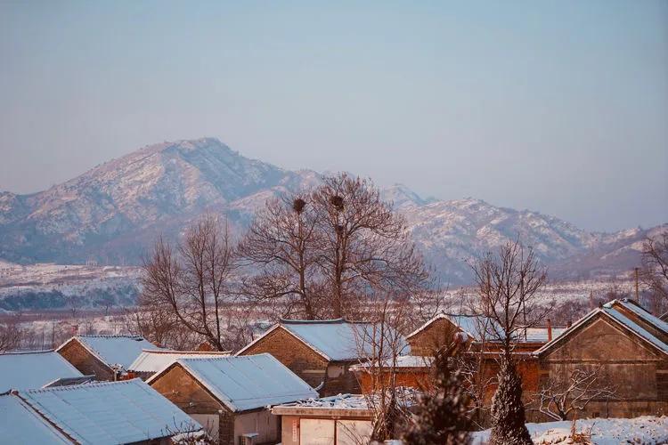 雪落无声心有痕，回到故乡来看雪