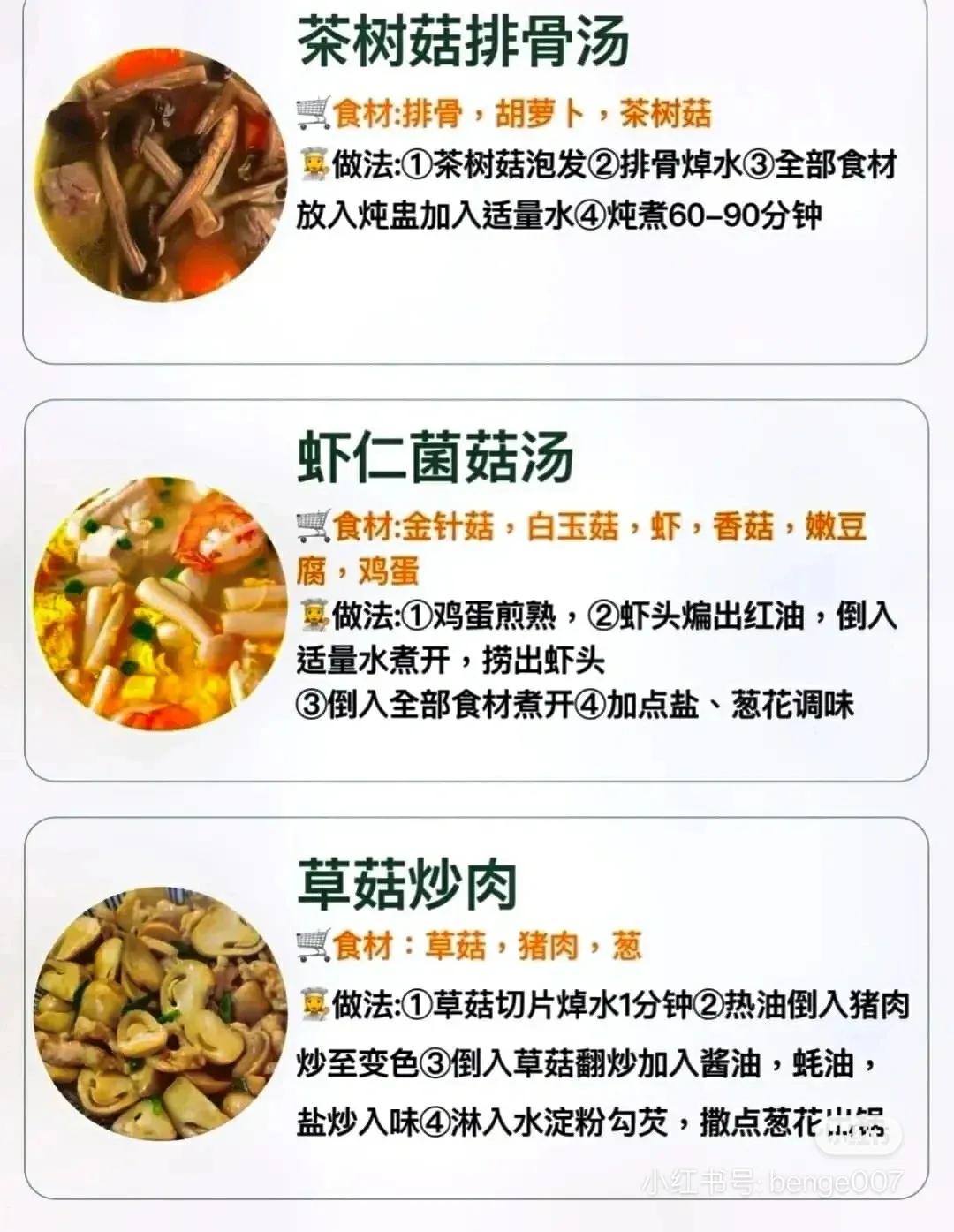 常見蘑菇的分類