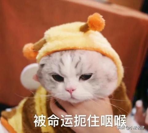 该去哪儿打官司？别忽略了合同约定