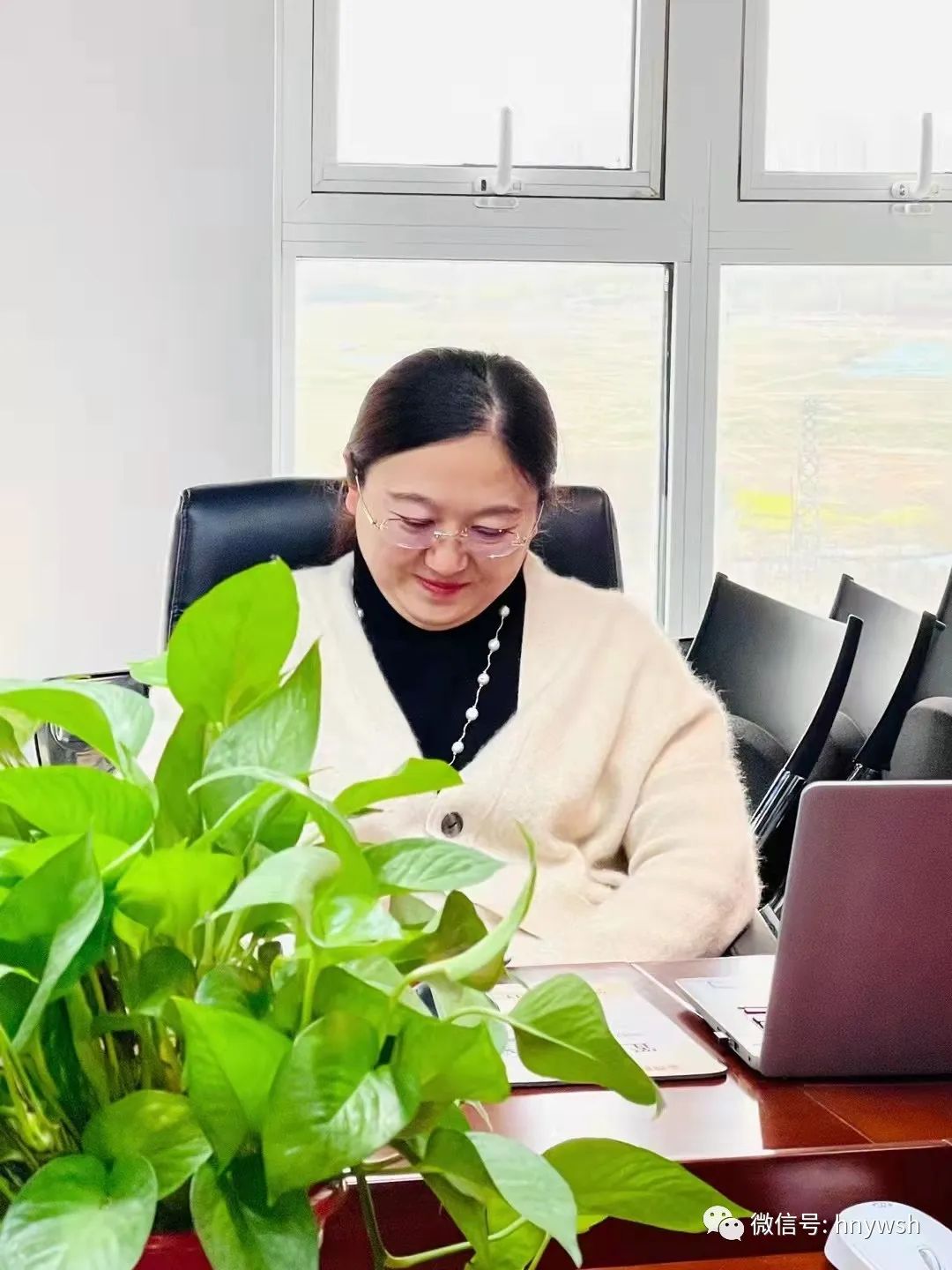 南阳英豪聚翰林 校园后勤共辉煌——河南省豫宛商会走访企业