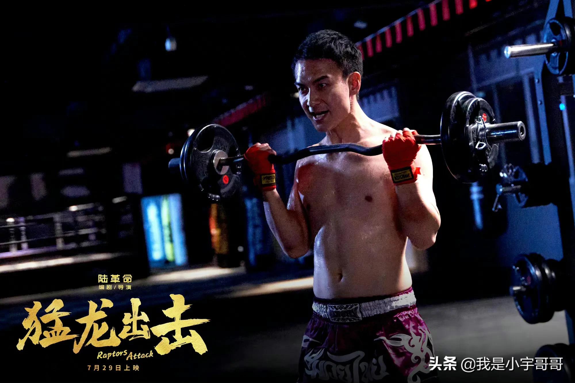 电影《猛龙出击》定档07.29，故事取材于自由搏击领域，期待上映