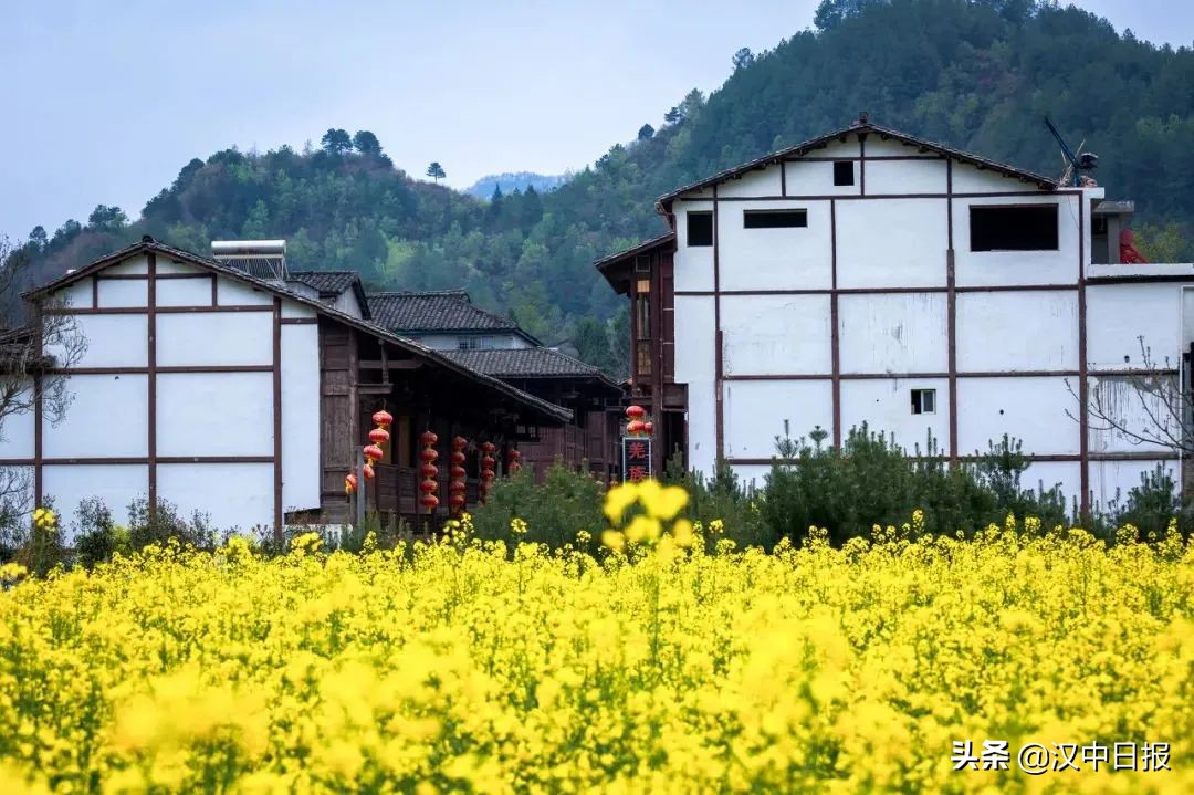 漢中“東西南北”線大PK！總有一條適合你