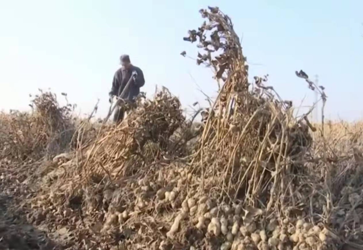 �ӱ����������������������ֹ����ֱ��׳������˵��Ƭ������