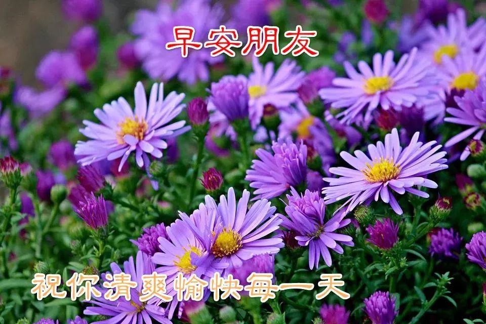 2022夏日周五清晨早上好问候动态表情图片 愿我牵挂的人平安吉祥图片