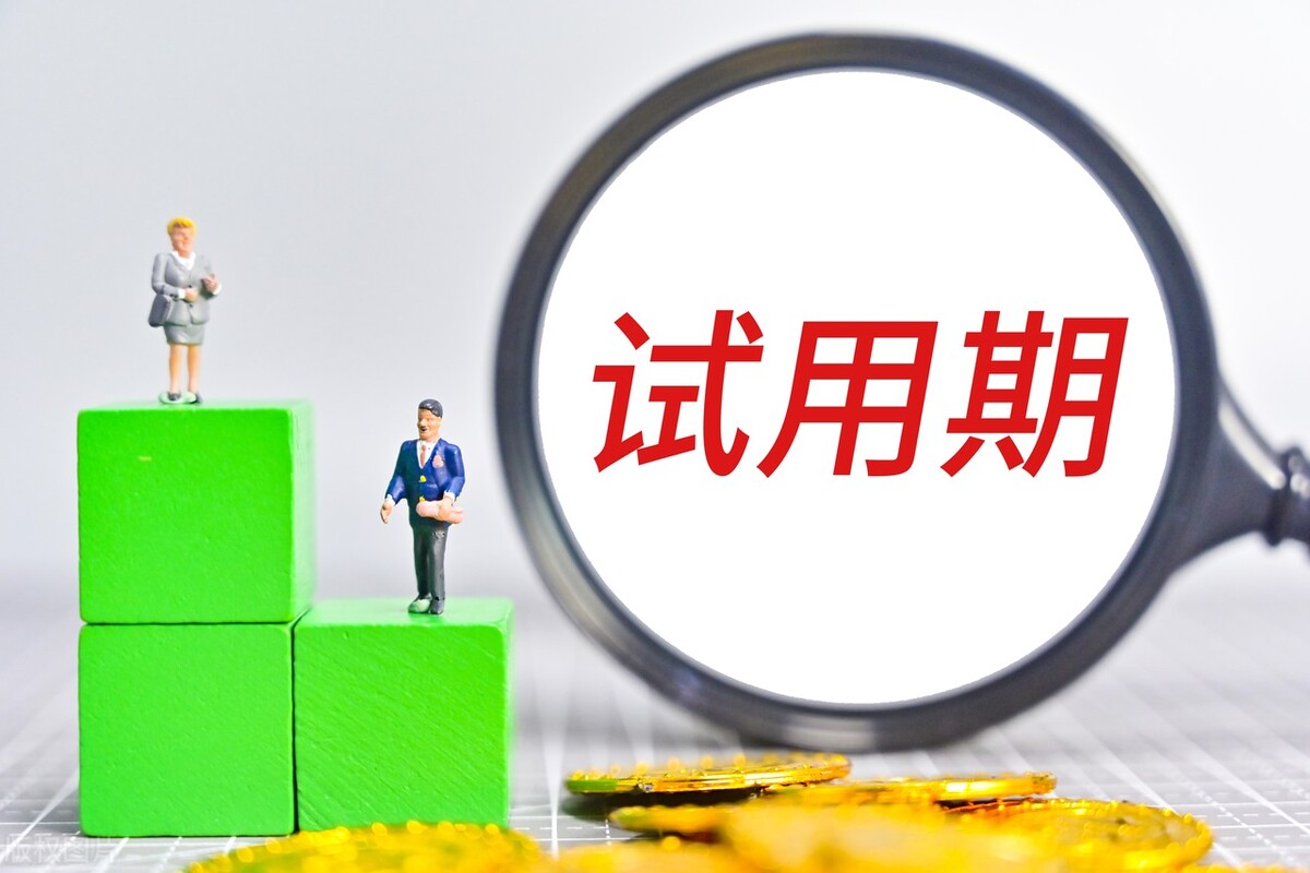 试用期转正的个人总结精选