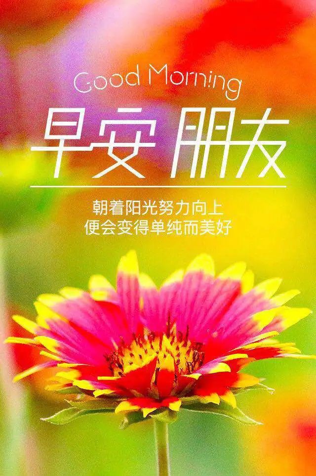 唯美早上好经典说说 优美的早上好微信问候语 健康无限、平安是福图片