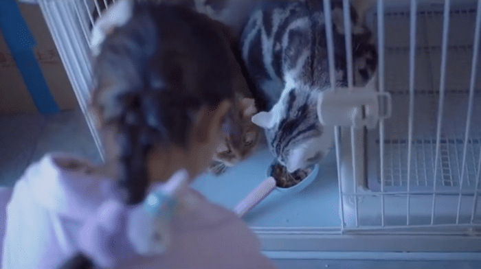 李小璐晒女儿假期生活，甜馨与宠物狗一起卖萌，上小学已经近视