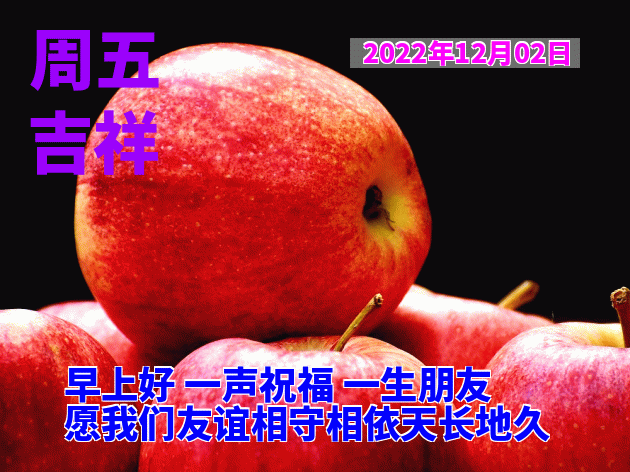 一声早上好，愿友开心整天、幸福每一天，一声祝福、一生朋友图片