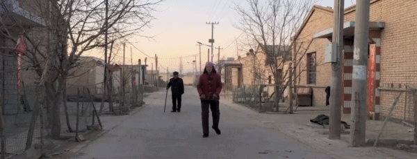 院线8分票房血扑！演员全是“关系户”，只剩海清是“真”演员？