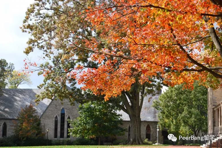 SAT分数最高的美国大学是哪所？不是哈佛、也不是MIT