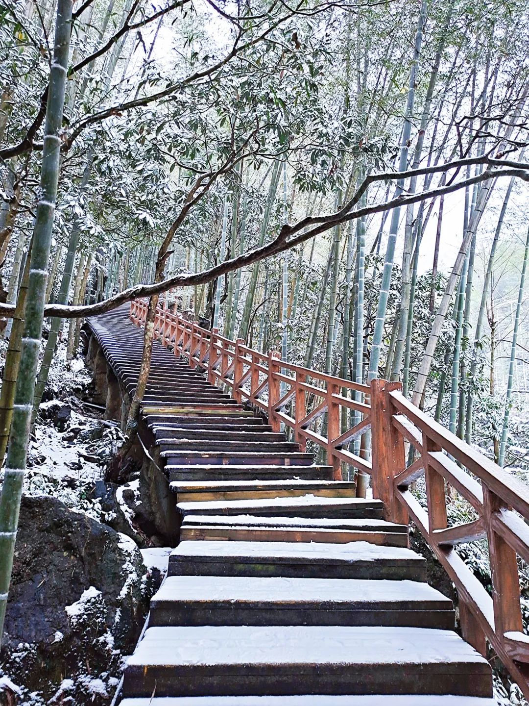 明月山下雪啦！大雪如期而至，就等你了！