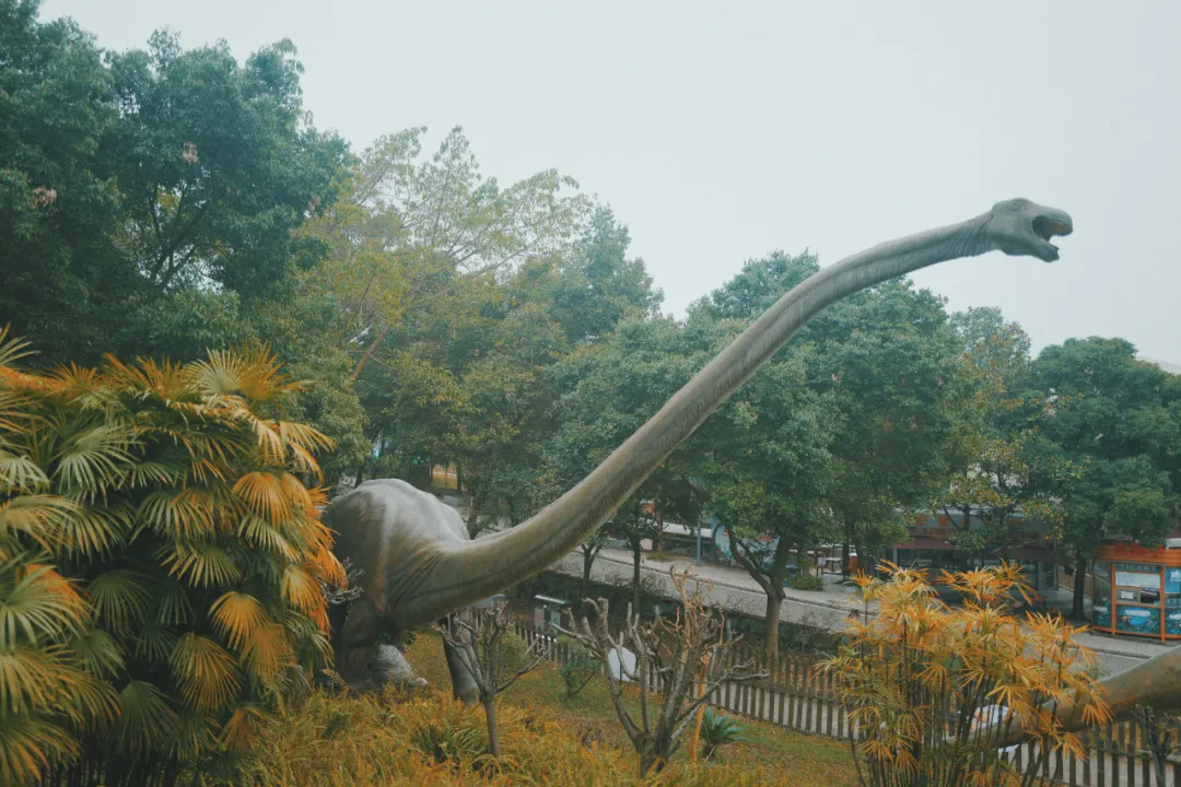 最近超火的盐帮菜之乡让我大开眼界，奇怪的知识又增加了