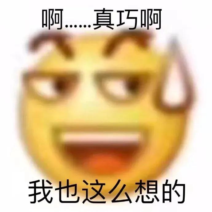 可爱表情包  报告，我有话要说