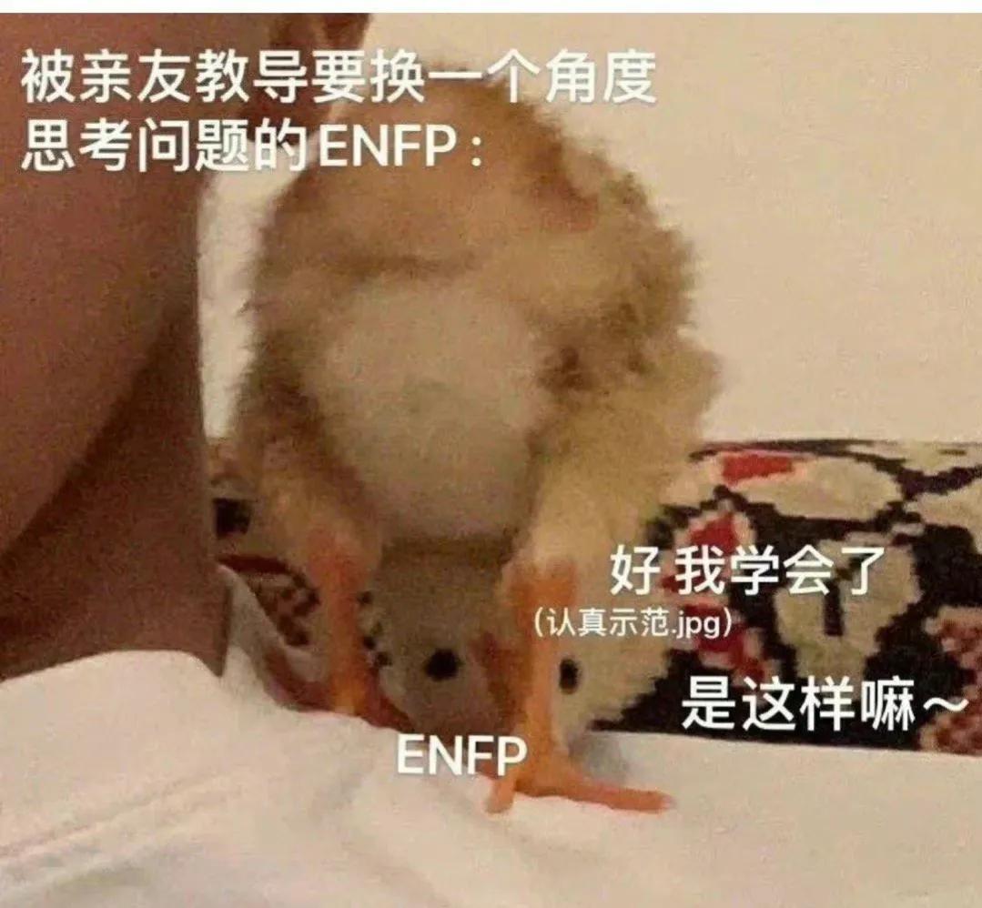 停止精神内耗，与自己和解，别让自己太累