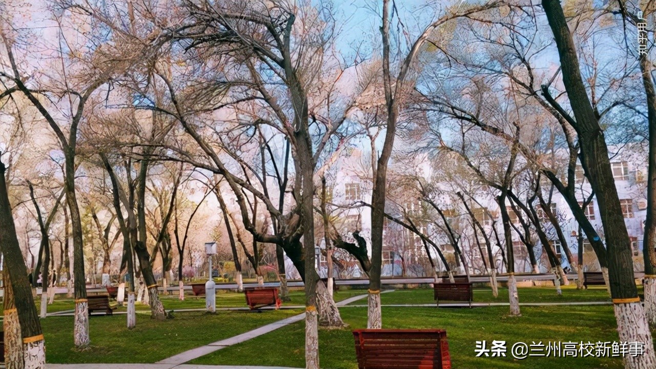 西北地区的3所财经类高校，排名及实力接近，录取分数却差异很大