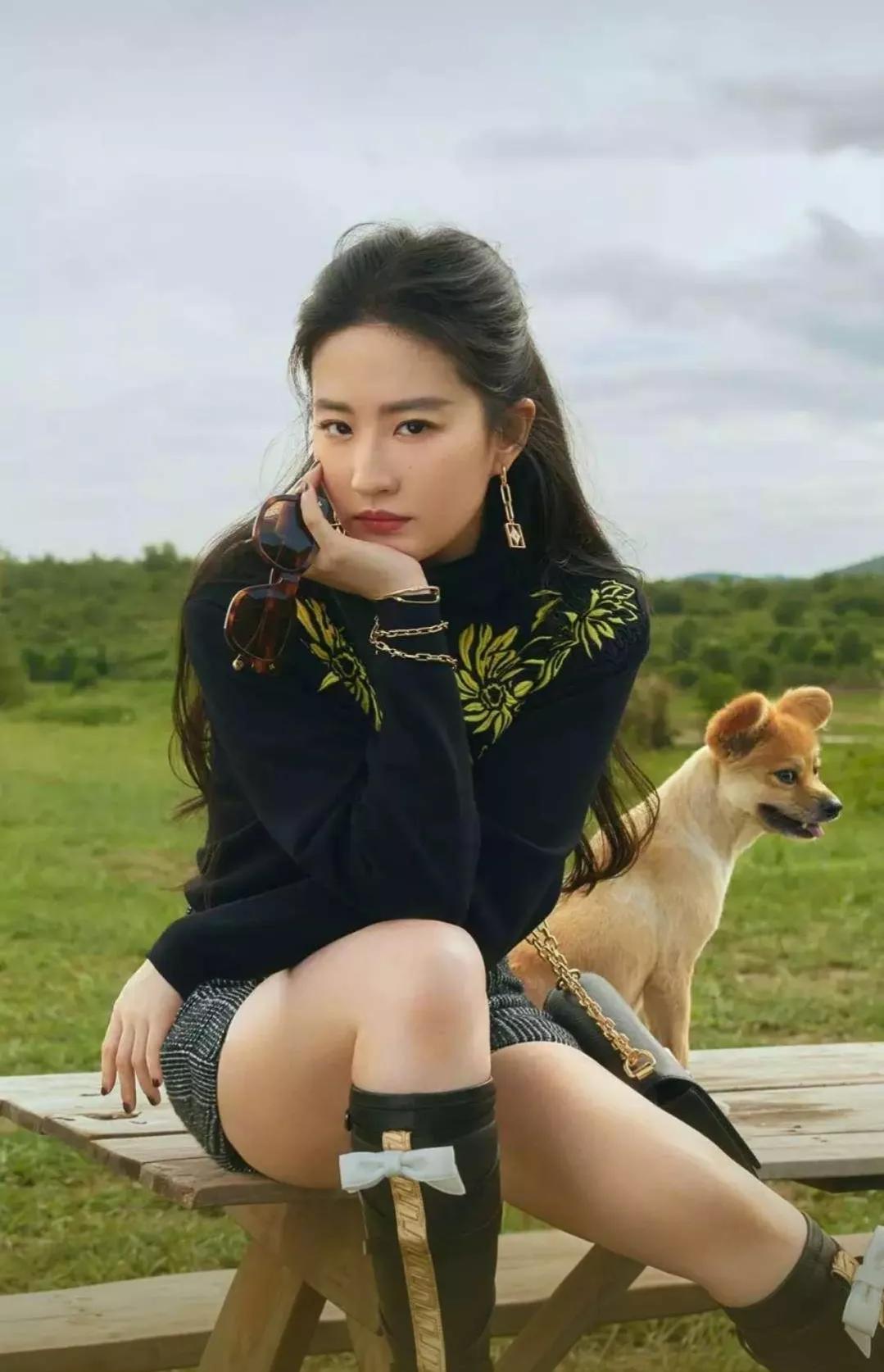 手机桌面，明星刘亦菲和孟子义