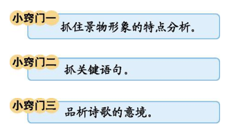 ​课堂知识总结&练习丨语文下册第三章（1~6年级）