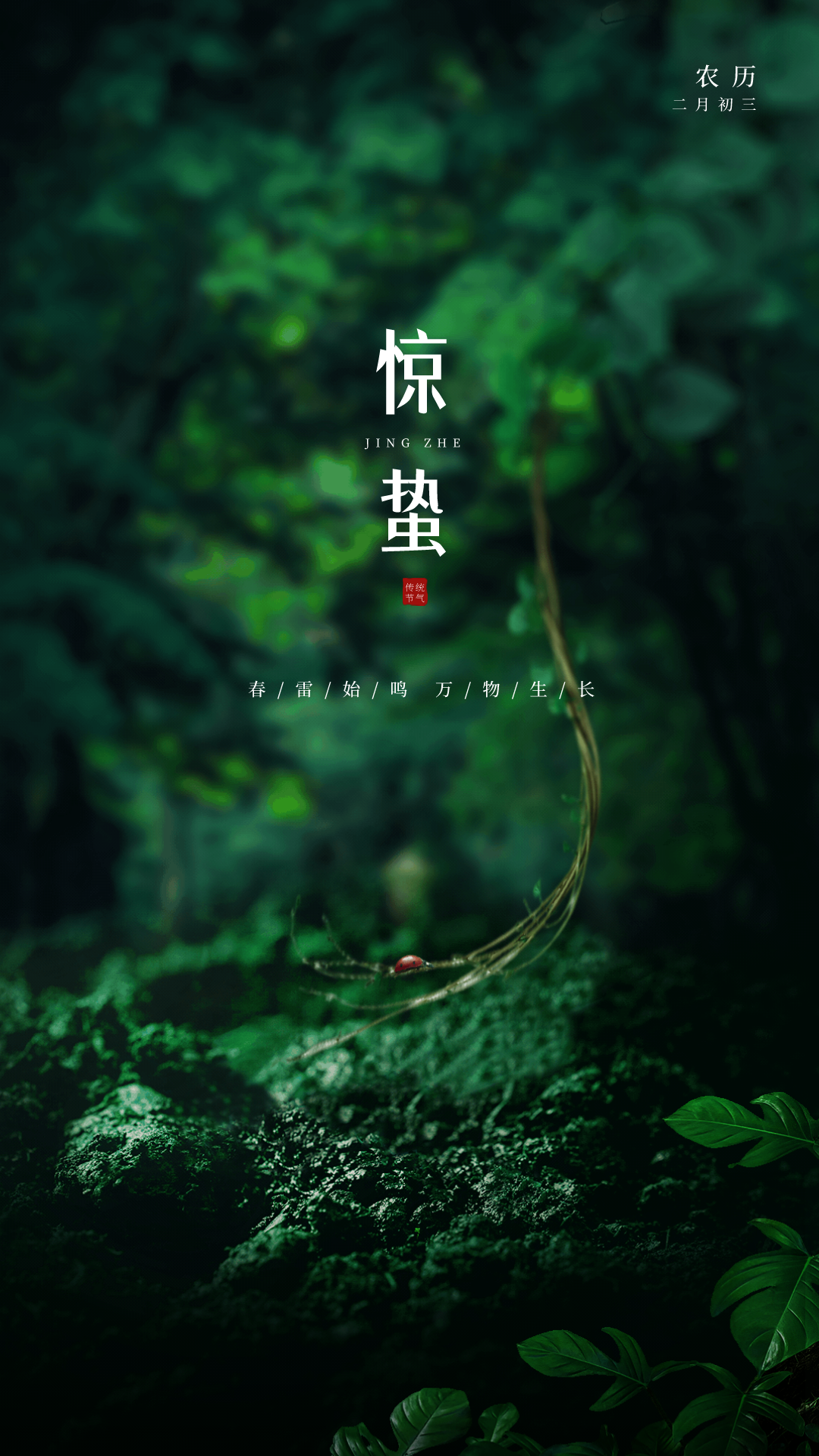 惊蛰图片配图唯美高清带字大全,惊蛰朋友圈抖音文案祝福语句子