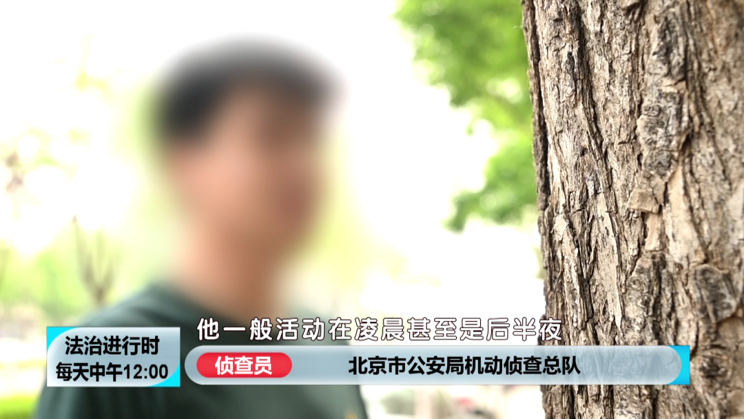 北京这伙贼专偷奥迪、大众等德系轿车！刚刚，被警方一网打尽
