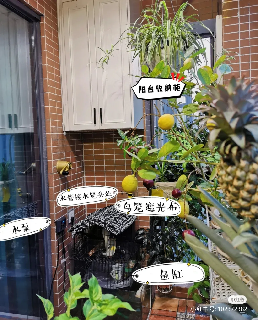 Ů500ԪĻ鷿˸Ǯô