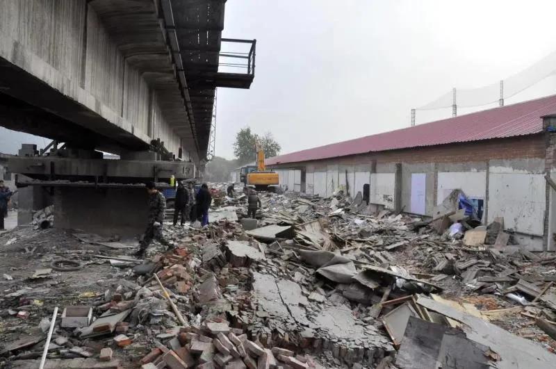 三百年菩提树见证美丽乡村平安传奇