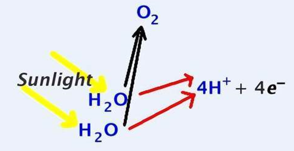 40꣬ϵˮ𣿿ѧһʯͷҵ