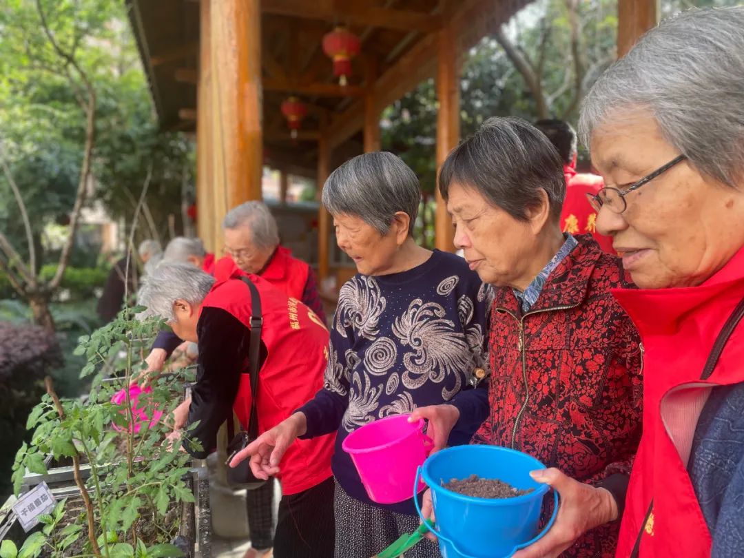 耶！养老院里的开心农场