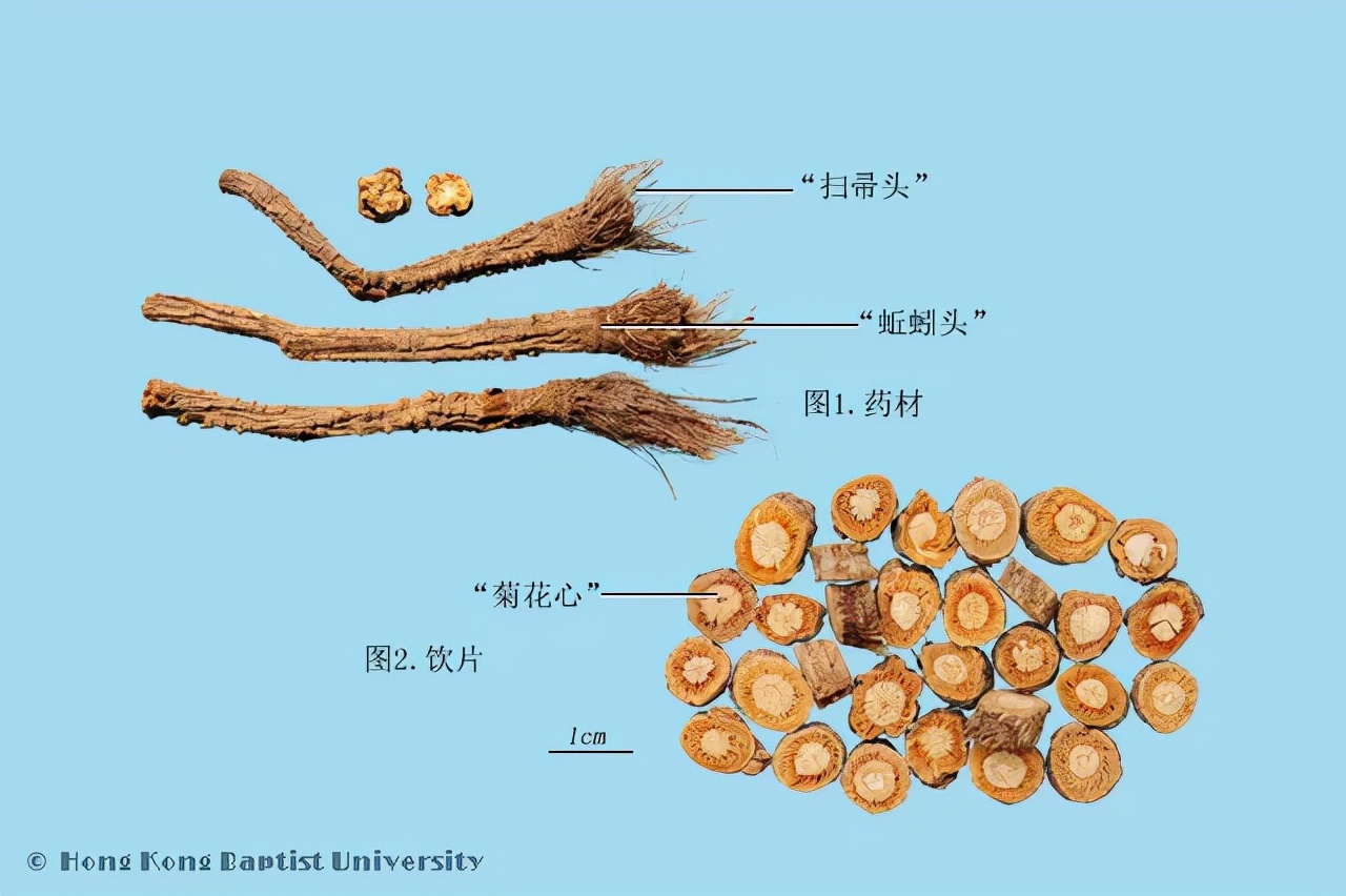 玉屏风颗粒——只含三味药，却有大作用