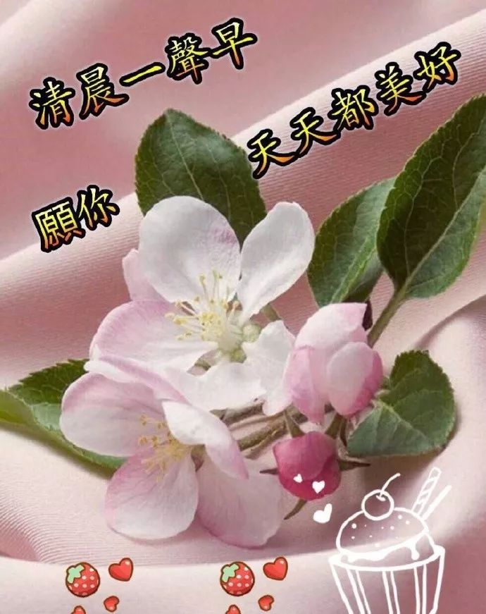 漂亮好看的早上好问候语 舒展美丽的微笑，拥抱愉悦的一天图片