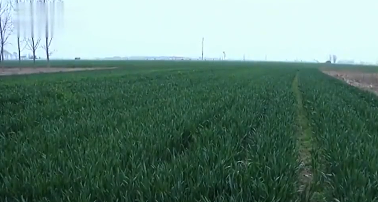 16年大学生误入歧途，被逼上绝路从8楼跳下，一段短信让父亲崩溃