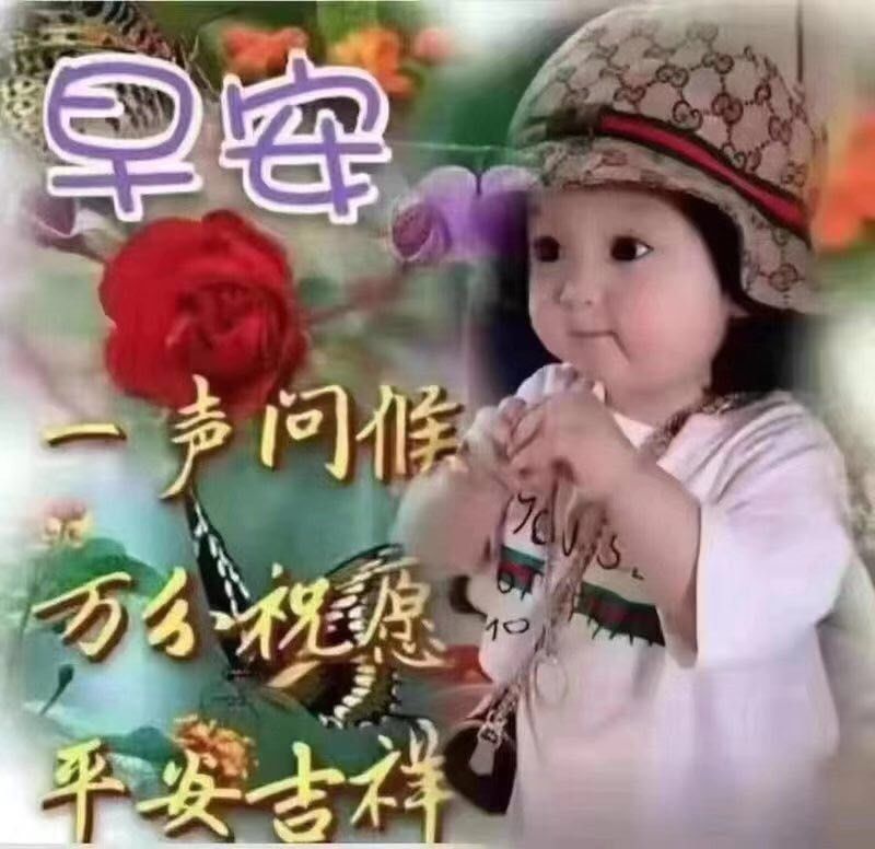 周末清晨祝福早上好的动态图片，阳光的早上好问候祝福语图片