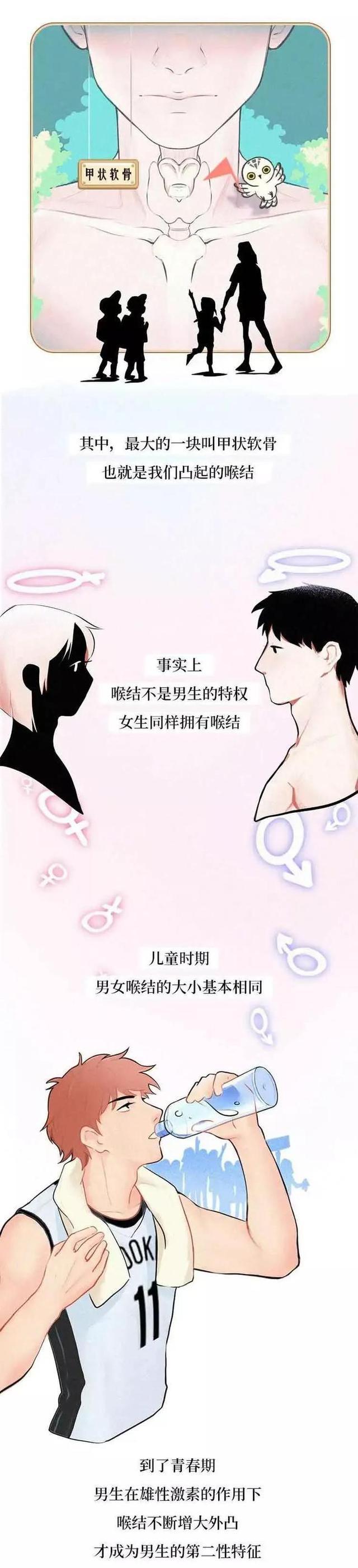 男生的喉结为什么不能碰原因(男生的喉结为什么不能随便乱碰？女生最好提前了解一下)