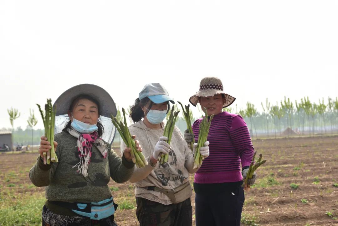 线上展览|“劳动最光荣”主题摄影作品线上图片展（十五）