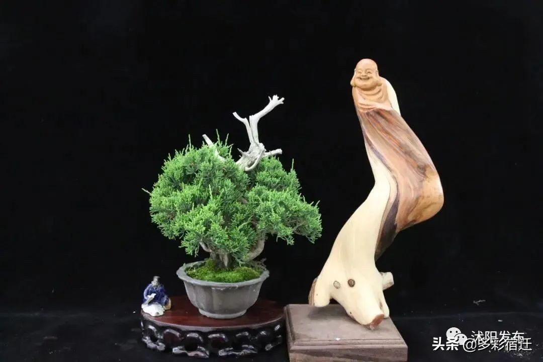 沭陽新河鎮雙蕩村入選全省鄉村旅游重點村