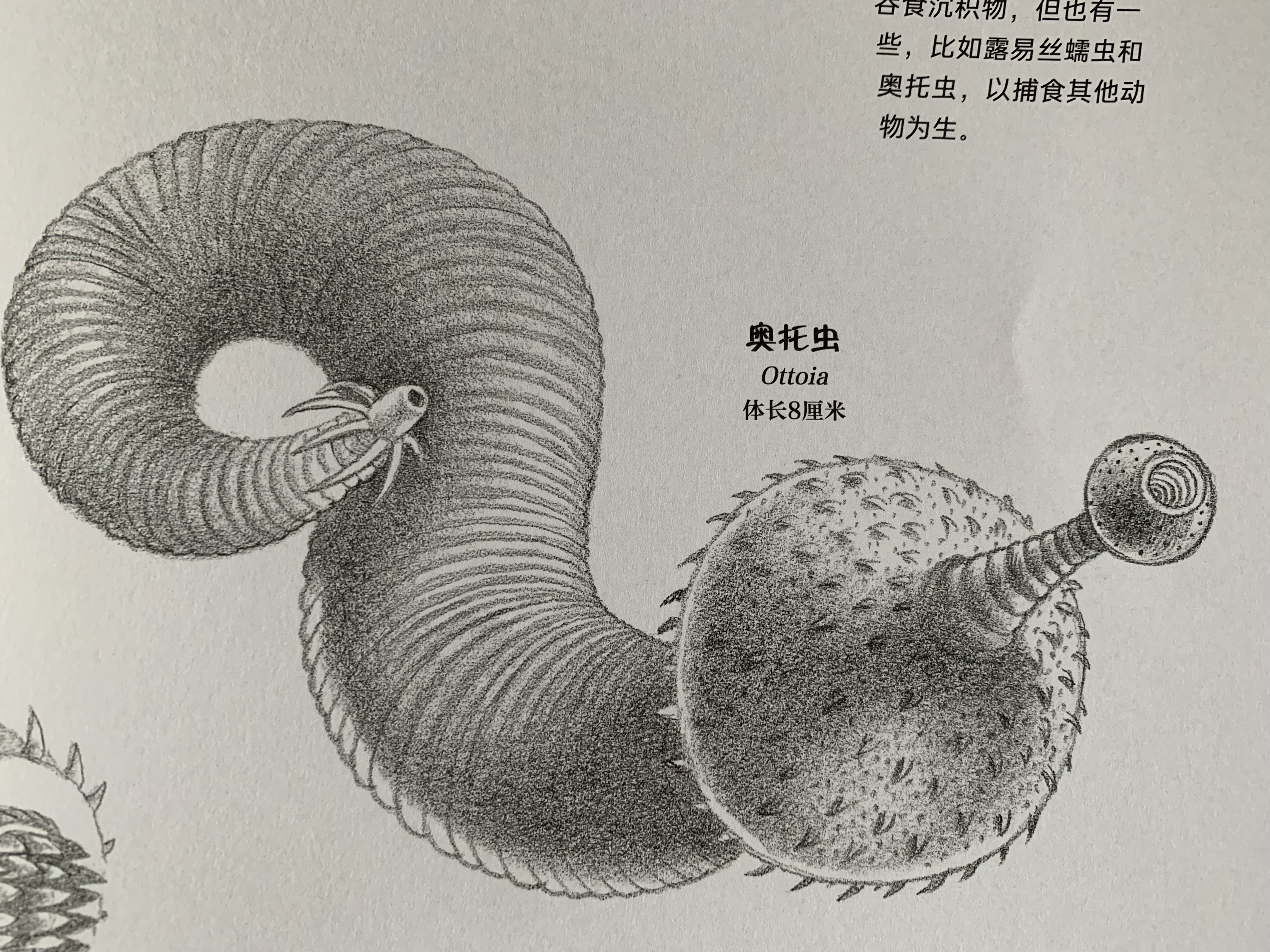 少儿科普读物:一起走进关于我们星球的故事