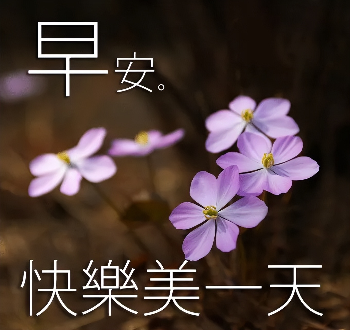 早上好动态表情图片大全，早晨好动图美图大全，快乐喜洋洋图片