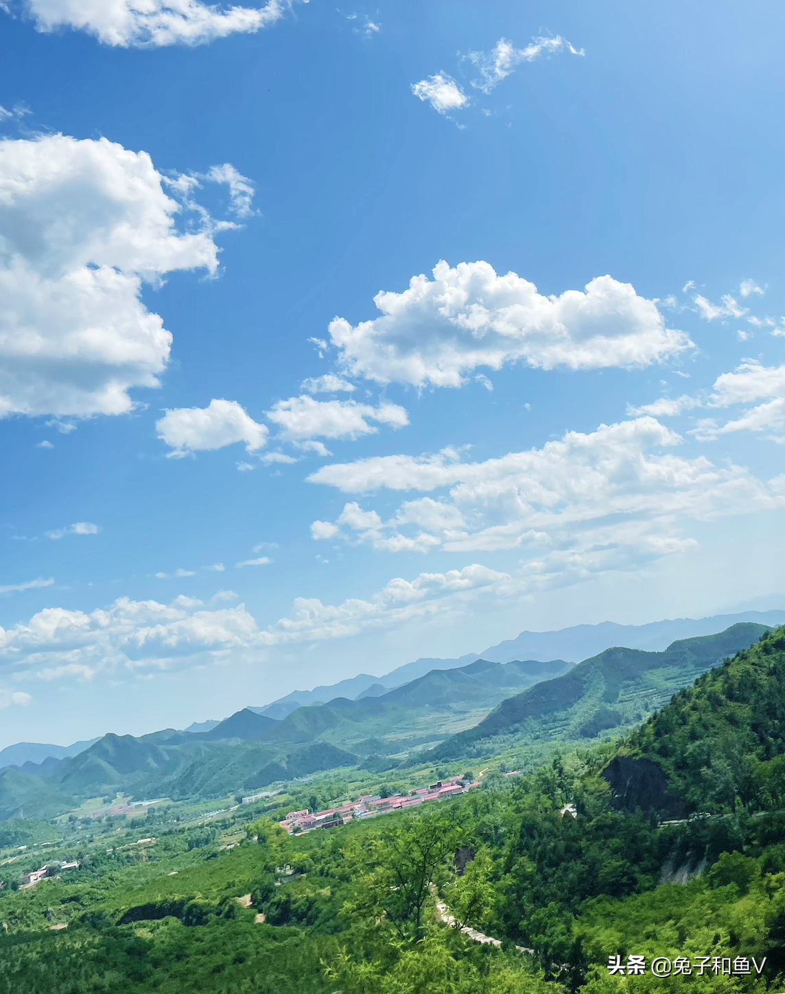 北京絕佳露營地推薦，仿佛置身于夢幻小森林