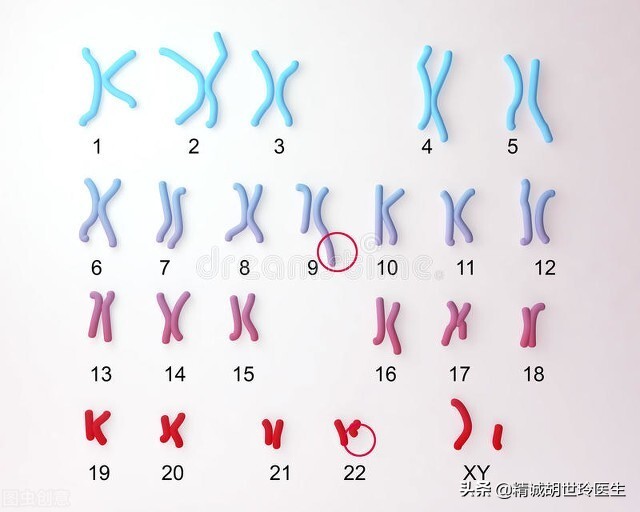 哪些遗传疾病需要做第三代试管婴儿筛选？