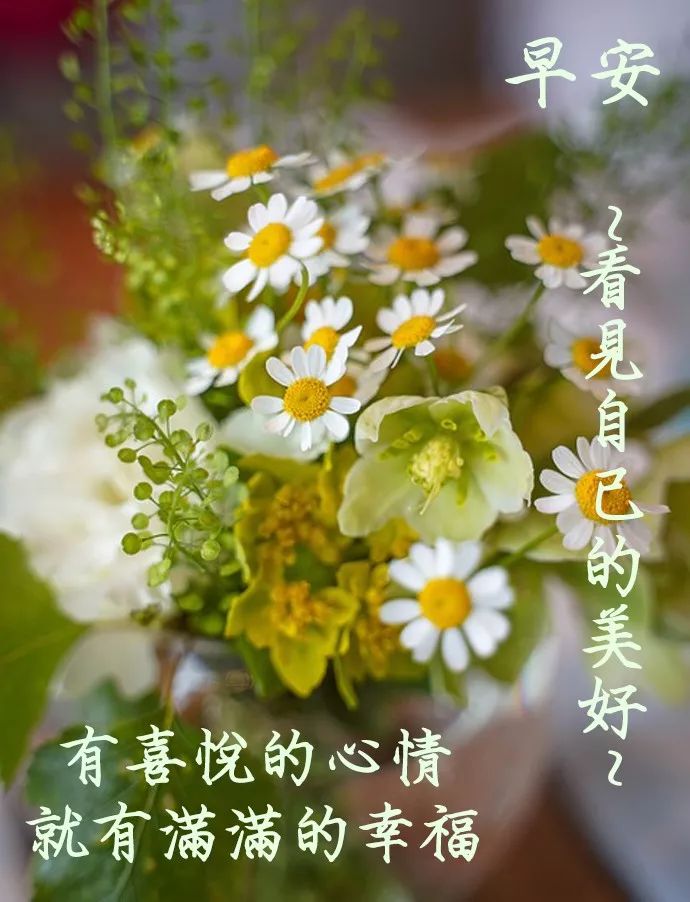 唯美早晨好正能量动图美图大全，积极的人像太阳，照到哪里哪里亮图片