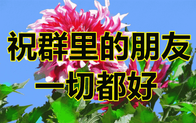 2022缘分早上好图片大全 送给真心朋友早上好问候 带给你一天好心情图片