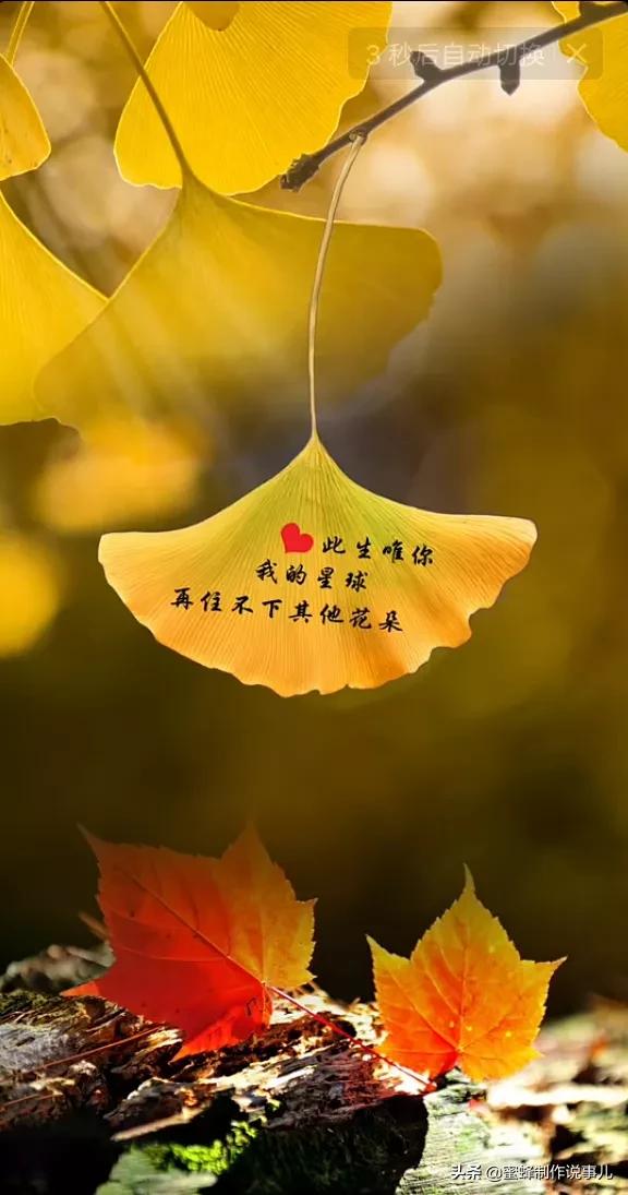 笑看花开,是一种美好的心情