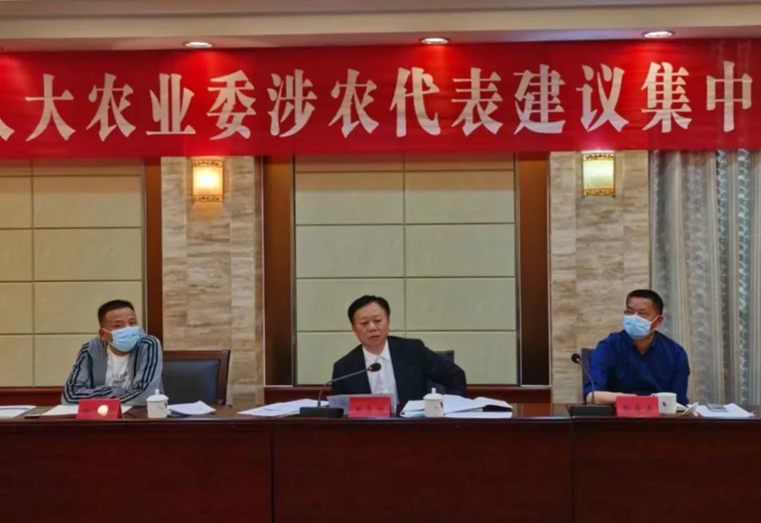 市人大农业委召开涉农代表建议集中督办会