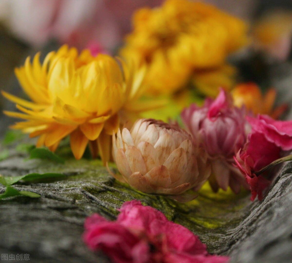 一花一世界，一束花点燃爱，相逢花浪漫情，春花情长，迷人心醉