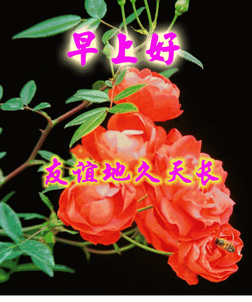 最新早上好动态表情图，早安祝福问候语大全图片