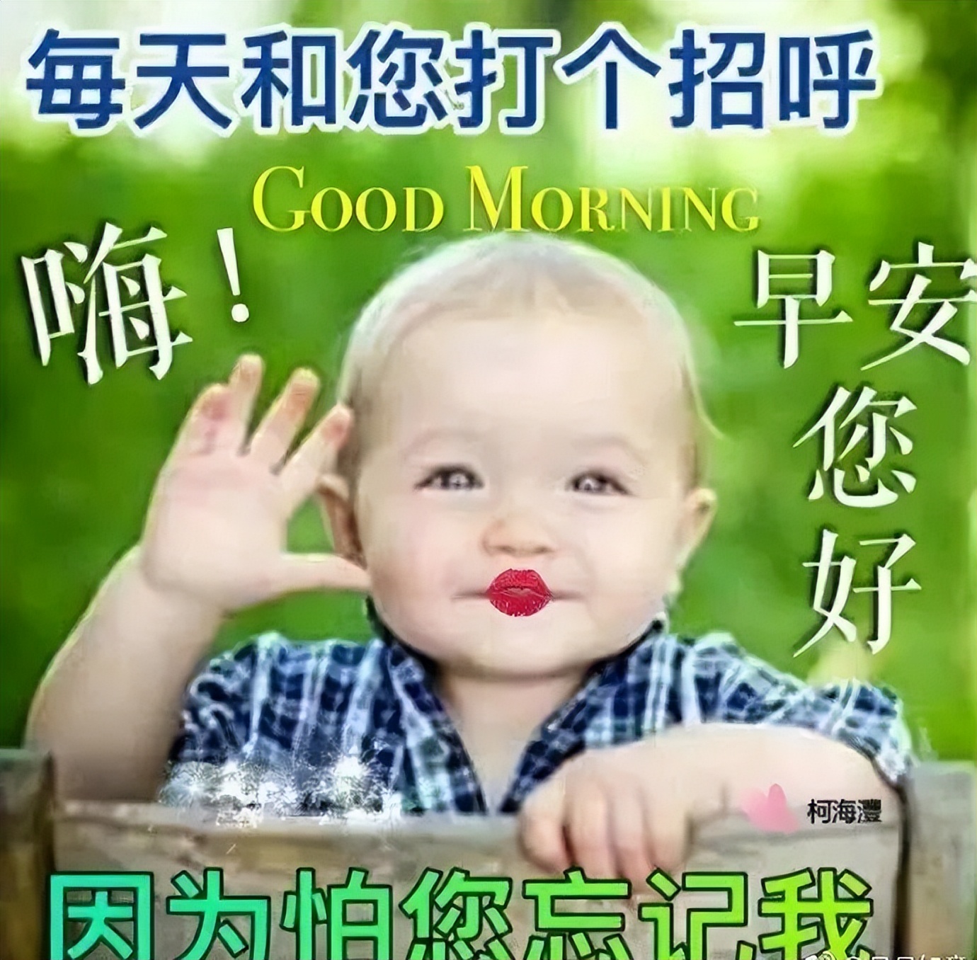 漂亮的早上好表情包，早安动态问候语，欢笑永驻，幸福永远图片