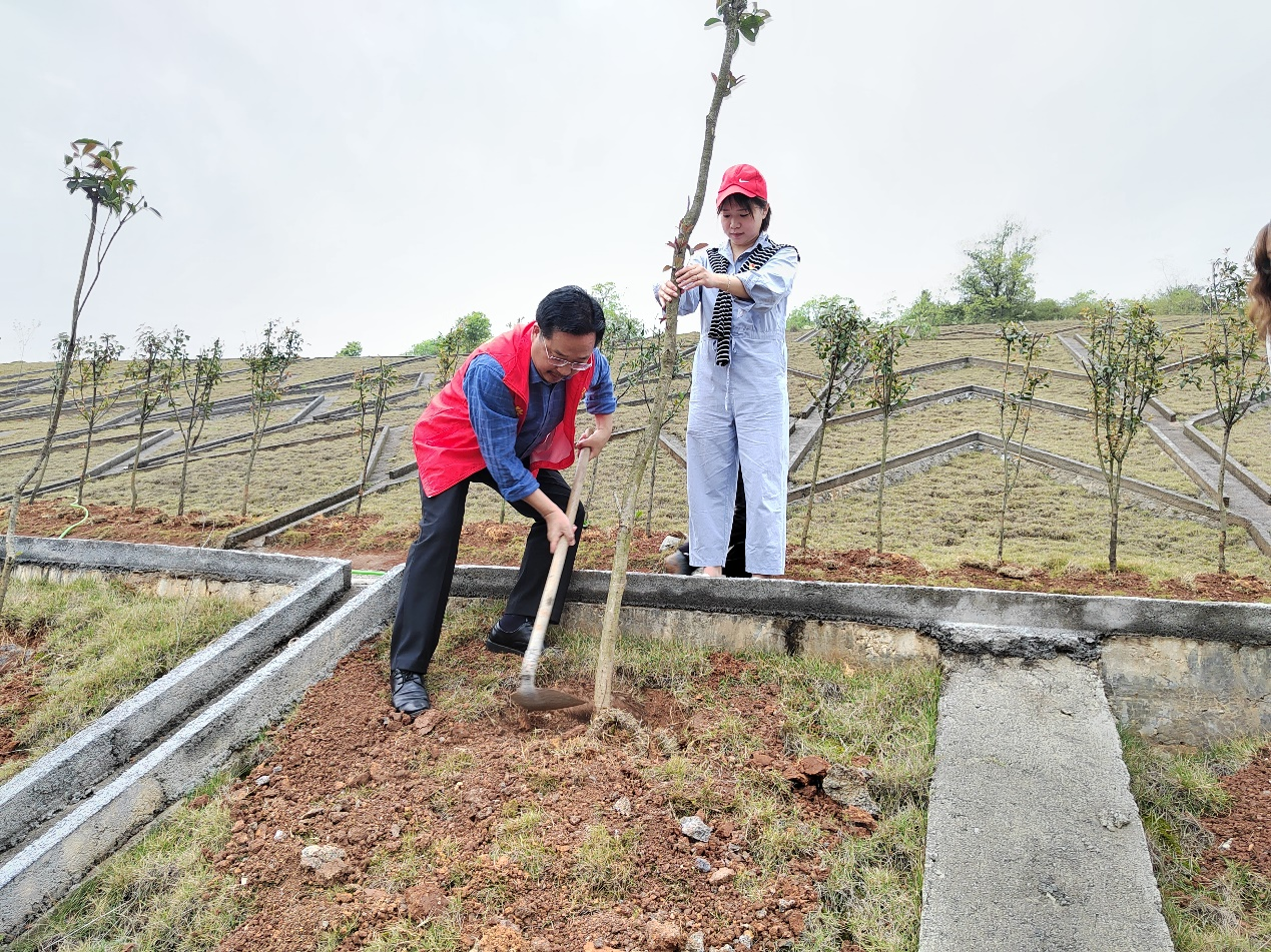 欲栽大木柱长天——记郴州市第十五中学教师植树活动