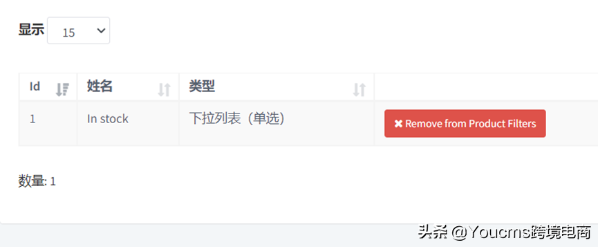2022年跨境獨(dú)立站，您還需要哪些功能？